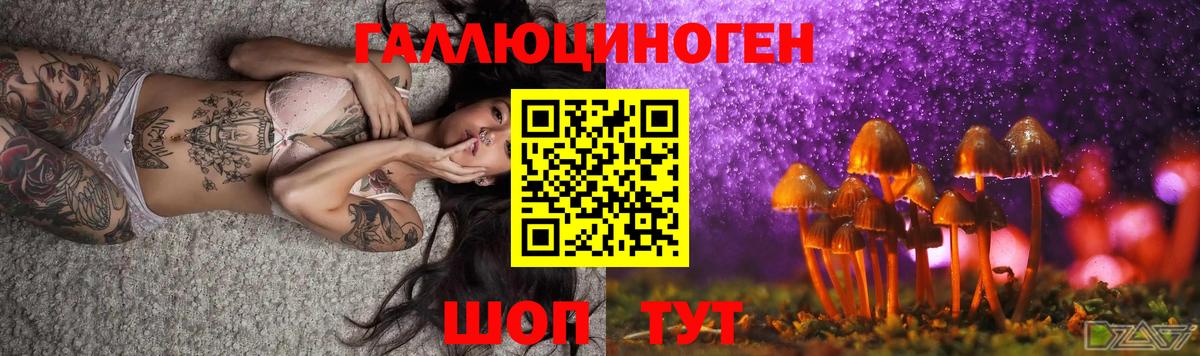 Галлюциногенные грибы мицелий  Галлюциногенные грибы мицелий  Вход с VPN  Ефремов 